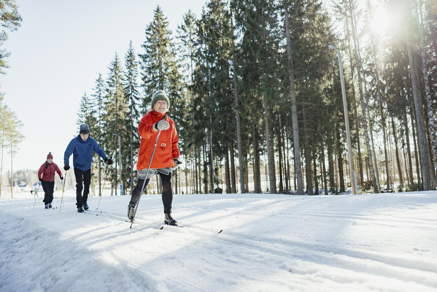 Three people are skiing on a trail that runs through a forest on a sunny day.