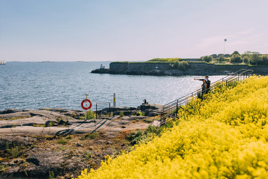 Yellow flowers on Vallisaari beach.