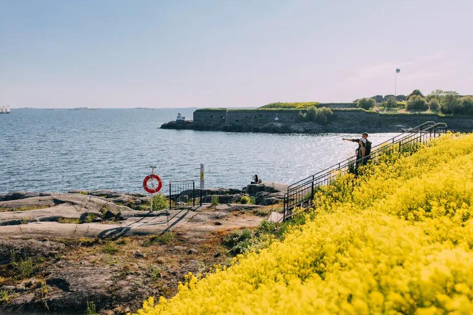 Gula blommor på Skanslandet strand.