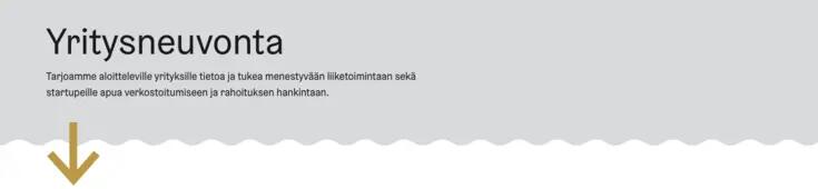Kansikuva esimerkki ilman kuvaa