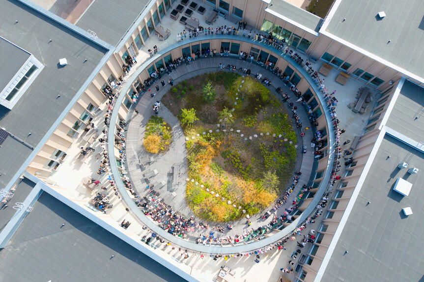 Metsäaukio