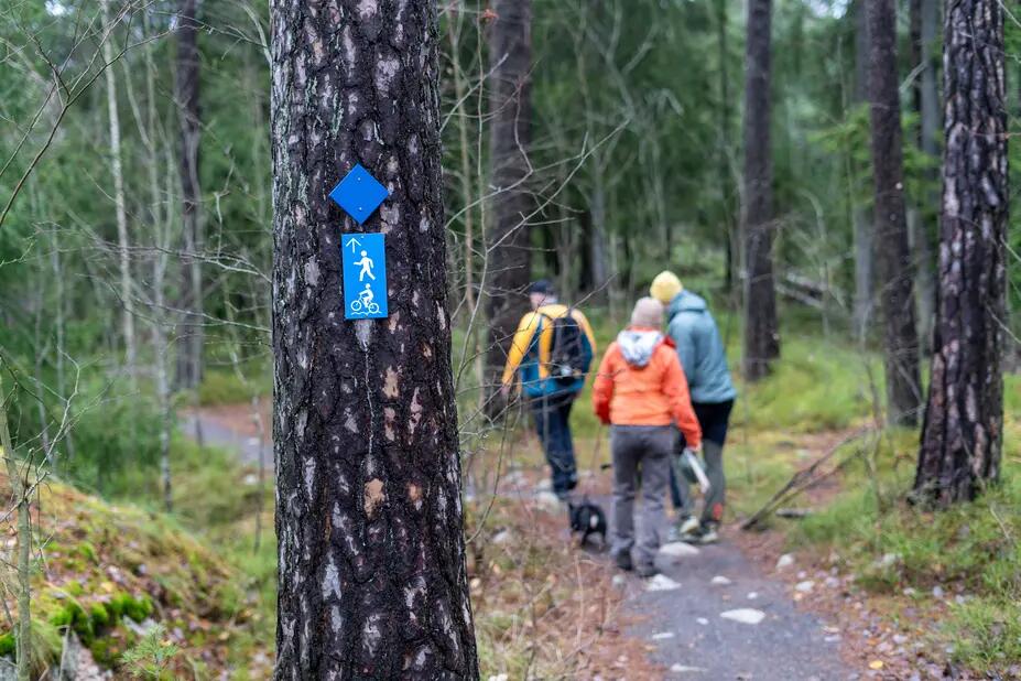 Retkeilijöitä samoilemassa Hallaivuoren luonnonsuojelualueella.