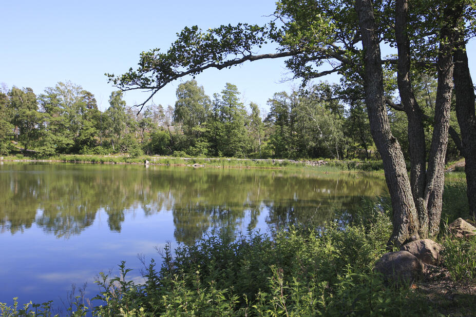 Maisema Pihlajasaarelta.
