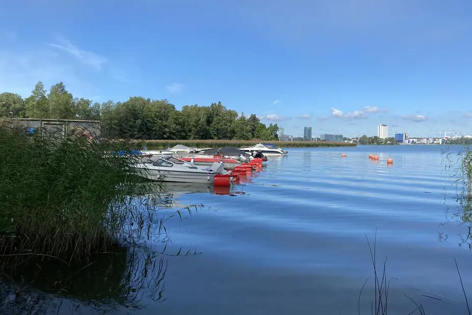 Koivusaari Lauttasaaresta päin