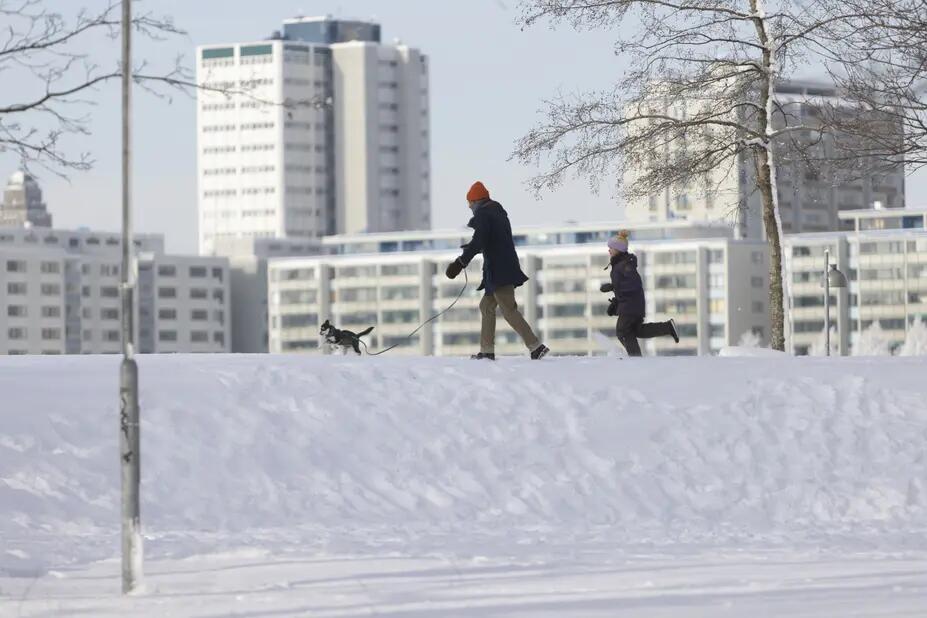 Koiranulkoiluttajia talvella